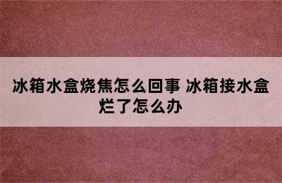 冰箱水盒烧焦怎么回事 冰箱接水盒烂了怎么办